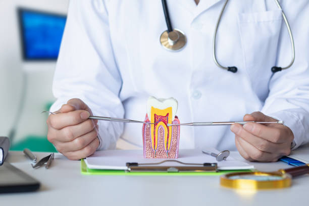 Best Emergency Dental Care for Broken or Chipped Teeth in Caldwell, NJ